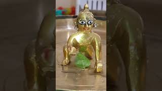 Laddu gopal snan [upl. by Aehsal251]