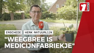 Henk brengt een ode aan De Weegbree [upl. by Reinhart675]