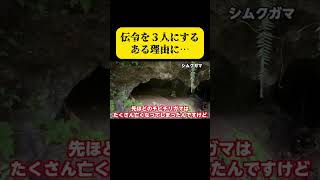 知ってほしい事実【20万人が犠牲となった沖縄戦】 [upl. by Buyers697]