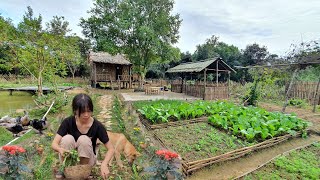 Full Video 100 days of taking over Trais garden renovating the garden raising livestock [upl. by Kleeman439]