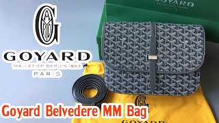 Goyard Belvedere MM Bag Gray Unboxing amp Review [upl. by Riana]