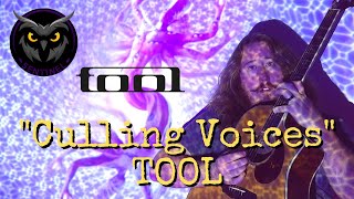 Culling Voices TOOL Cover  Sentinel [upl. by Scarlet]