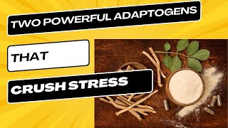 Two Powerful Adaptogens That Can Crush Stress And Fatigue [upl. by Hsiri]