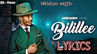 Bilillee Andualem Gosa Lyrics Video [upl. by Yerggoeg]