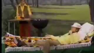 HELEN REDDY  COMEDY SKITS  CAROL BURNETT  THE QUEEN OF 70s POP [upl. by Ttessil]