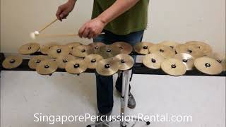 Zildjian Crotales 2 Octaves for Rental [upl. by Atnom]