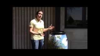 Installing a rain barrel with a diverter [upl. by Hayidah]