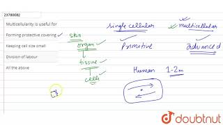 Multicellularity is useful for [upl. by Hylton]