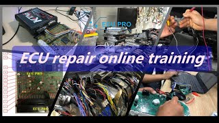 Introduction to ECU repair online training at ECU PRO [upl. by Netsriik]