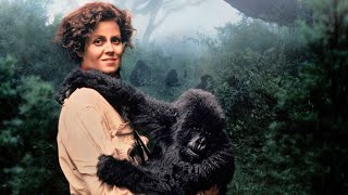 Gorillas in the Mist Full Movie Fact And Review In English  Sigourney Weaver  Bryan Brown [upl. by Elletsirk]