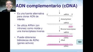 Tecnología del ADN complementario y Reacción en Cadena de la Polimerasa PCR V 75 [upl. by Dnalyr]