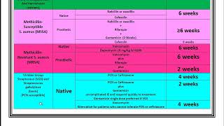 Infective Endocarditis Review and Summary [upl. by Ruffin]