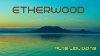 Etherwood  Tribute Mix Pure  Liquid No337 [upl. by Sigismond438]