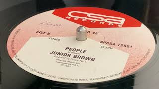 JUNIOR BROWN  People My Devotion B Side [upl. by Novihs]