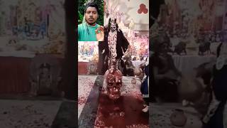 Jay Maa Kali  Kali Mata Dharti per fir se prakat ho gai 🔱🕉️ shorts MaaKali [upl. by Annaitsirhc975]