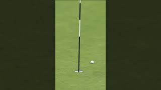 Si Woo Kim sinks HOLEINONE at Royal Troon 😲⛳ [upl. by Sukramaj533]