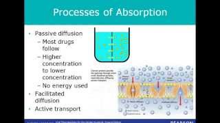 Pharmacology Fundamentals of Drug Action  Pharmacodynamics and Pharmacokinetics  Ch 2 Lecture 1 [upl. by Yhotmit683]