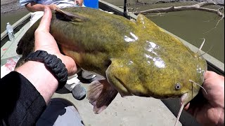 Daytime Flathead Fishing Tips [upl. by Elenahc]