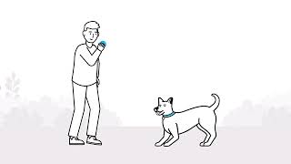 Understanding your dogs body language  The Battersea Way [upl. by Ming]