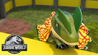 The Lonely Dilophosaurus  Jurassic World  NEW EPISODE  Kids Adventure Show  Dinosaur Cartoons [upl. by Vtarj374]