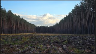 Zazdrość o Boga [upl. by Loar]