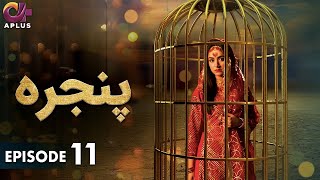 Pakistani Drama  Pinjra  Episode 11  Aplus Gold  Yumna Zaidi Nauman Aijaz  CZ1O [upl. by Aime]