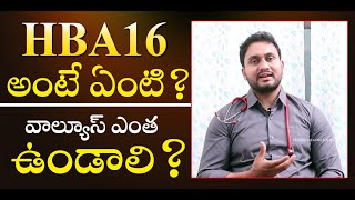 What is Hba1c Blood Test in Diabetes Explained in Telugu By Dr Pradeep  Diagnosis Of Diabetes  THF [upl. by Llehsim784]