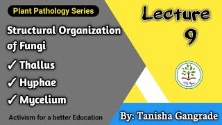 Fungal Cell  Structural Organisation of Fungi  Thallus  Hyphae  Mycelium by Tanisha Gangrade [upl. by Tiduj]