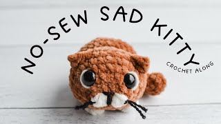 NoSew Sad Kitty Crochet Along  Crochet With Me [upl. by Aihsitan]