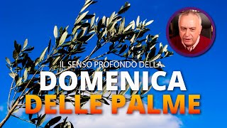 Il SENSO PROFONDO della DOMENICA DELLE PALME [upl. by Whiffen]