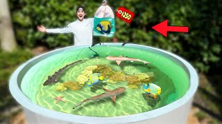 Buying Expensive SEA CREATURE For My Backyard SALTWATER POND [upl. by Belford203]