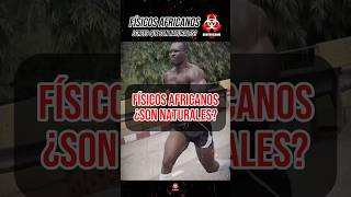 IMPRESIONANTES FÍSICOS AFRICANOS 😱🤯 bodybuilder bodybuilding gym africa body aestethics [upl. by Fennie]