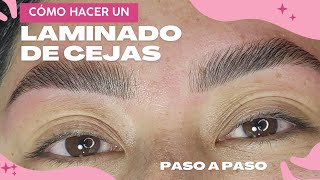 Cómo hacer un laminado de cejas paso a paso [upl. by Montfort]