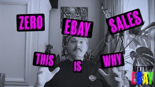 Zero Ebay Sales The Hard Truth Why [upl. by Annehsat508]