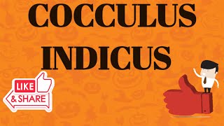 COCCULUS INDICA HOMOEOPATHIC MEDICINEDRUG PICTURE [upl. by Assert309]