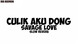 DJ CULIK AKU DONG X SAVAGE LOVE  Slow Reverb  RR Remix  DJ REMIX THAI [upl. by Katharina980]