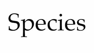 How to Pronounce Species [upl. by Najib]