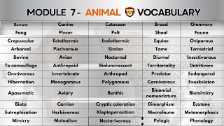 ANIMAL VOCABULARY FOR IELTS [upl. by Eada]