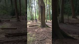 Offpiste at Haldon mtb mountainbikejumps mtbjumps mtbjump [upl. by Hooge852]