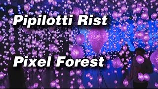 Pipilotti Rist  Pixel Forest  New Museum  Preview [upl. by Leynwad535]