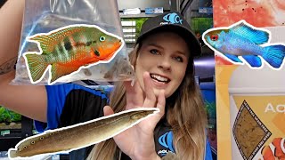 Big Fish Little Fish Red Fish Blue Fish Unboxing a bit of everything for your aquarium 🐟 [upl. by Ail822]