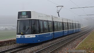 VBZ Flexity Zürich einfahrt in Zürich Fernsehstudio [upl. by Carr458]