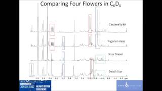 Analysis of cannabis samples by proton NMR [upl. by Tipton]