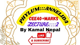 Phylum Annelida lecture2cee zoology all lectures with best notes [upl. by Hgiel]