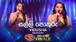 Salli Pokuru සල්ලි පොකුරු  Vidusha Rajaguru  Derana Dream Star Season 11  GRAND FINALE [upl. by Nelleeus342]