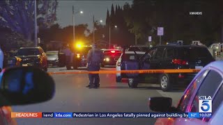 Grandmother murdered in Compton driveby shooting [upl. by Elgna263]