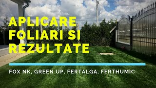 Aplicare foliar la gazon amp rezultate Fox Green Up Fertalga Ferthumic [upl. by Olrak23]