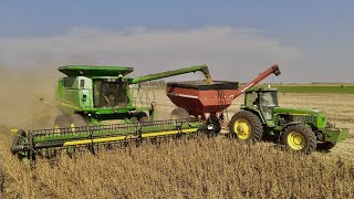 Good Things Come in Pairs Deere Combines Harvesting in South Dakota [upl. by Jeane]