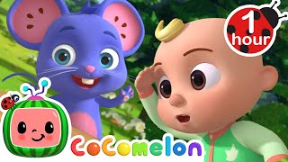 Play Peekaboo with JJ  Animals for Kids  Animal Cartoons  Funny Cartoons  Learn about Animals [upl. by Hsinam652]