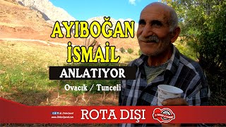 AYI SALDIRDI  Ayıboğan İsmail Anlatıyor  Munzur Ovacık Tunceli [upl. by Llessur590]